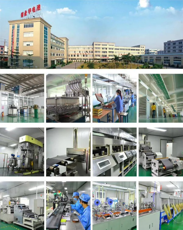 3.2V Li-Polymer Battery, LiFePO4 Primistic Battery