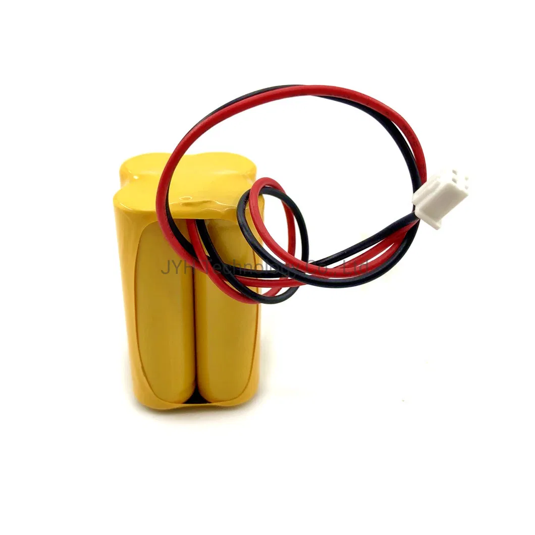 NiCd AA600-B2*2 4.8V Battery Pack for Emergency Lighting