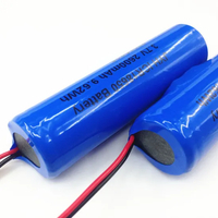 Standby Luminary 18650 2200mAh Lithium Battery Pack