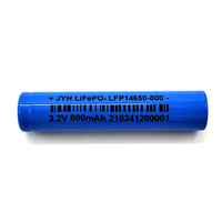 LFP Pouch Battery
