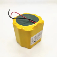 2s7p Lithium Ion Battery Pack for Detector