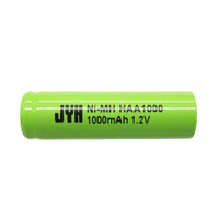Ni-MH AA1000 High-Performance Nickel-Metal Hydride Battery